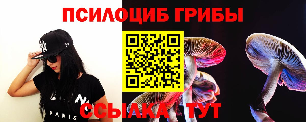 Мончегорск  Псилоцибиновые грибы мухоморы  Вход с VPN 